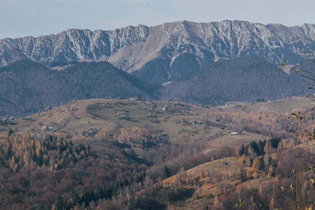 Drumul Carului Villa Moieciu de Jos Chambre photo